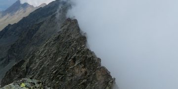 Train Like a Pro: Top Dog Training Tips for First-Time Owners Train Like a Pro: Top Dog Training Tips for First-Time Owners