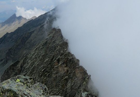 Train Like a Pro: Top Dog Training Tips for First-Time Owners Train Like a Pro: Top Dog Training Tips for First-Time Owners