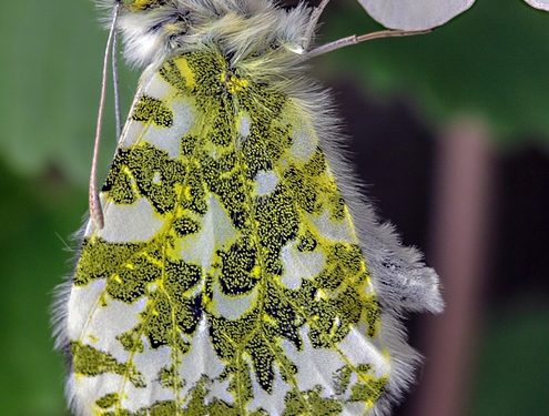 Training Triumphs: How to Turn Bad Behaviors into Good Habits