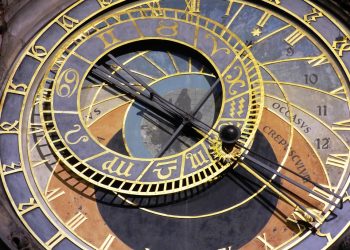 Unleashing Affection: How Puppies Steal Our Hearts