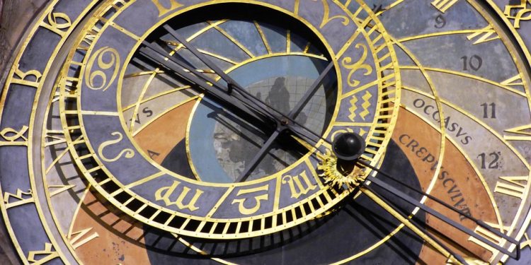 Unleashing Affection: How Puppies Steal Our Hearts