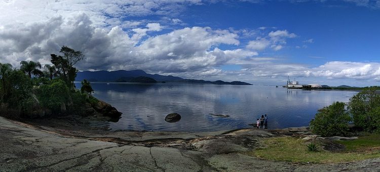 Wagging Tails and Happy Trails: Tips for Socializing Your Puppy Wagging Tails and Happy Trails: Tips for Socializing Your Puppy