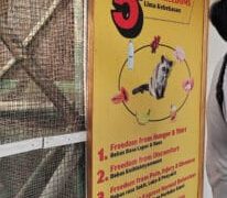 What it is Welfare Washing? What it is Welfare Washing?