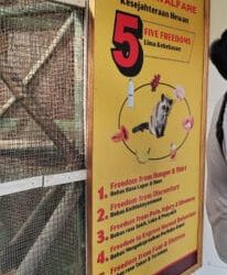 What it is Welfare Washing?