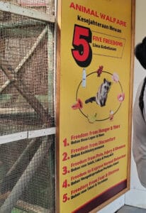 What it is Welfare Washing? What it is Welfare Washing?