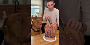 animal cake prank #dog #funnydog #funnyvideo #viralvideo #cakeprank #animallife