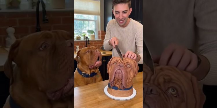 animal cake prank #dog #funnydog #funnyvideo #viralvideo #cakeprank #animallife