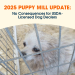 2025: A Good Year To Be a Bad Puppy Mill