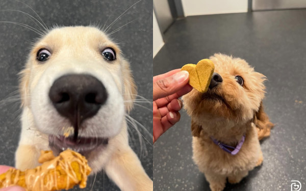 4 Peanut Butter Treats to Celebrate National Peanut Butter Day