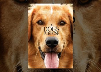 A Dog’s Purpose