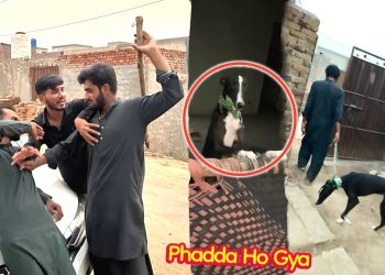 ARBAB APNA SHIKARI DOG LANY AA GYA😨 PHADDA HOGYA💔
