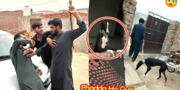 ARBAB APNA SHIKARI DOG LANY AA GYA😨 PHADDA HOGYA💔 ARBAB APNA SHIKARI DOG LANY AA GYA😨 PHADDA HOGYA💔