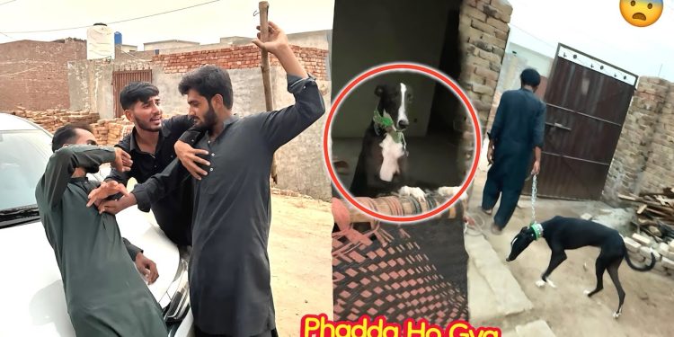 ARBAB APNA SHIKARI DOG LANY AA GYA😨 PHADDA HOGYA💔