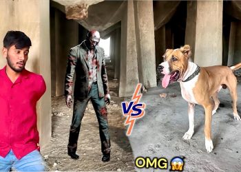 BULLY DOG BADSHAH VS HORROR 😱