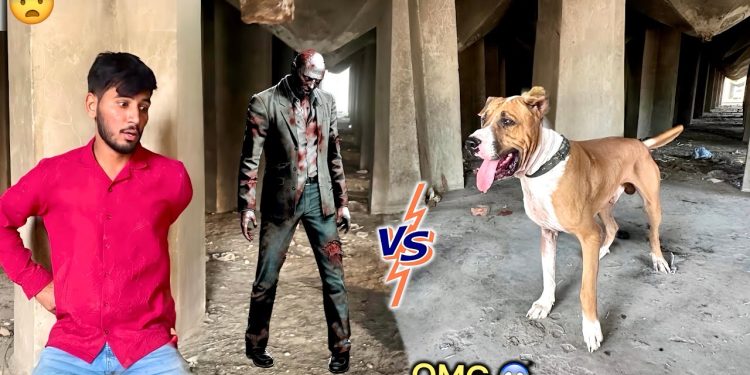 BULLY DOG BADSHAH VS HORROR 😱 BULLY DOG BADSHAH VS HORROR 😱