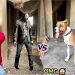 BULLY DOG BADSHAH VS HORROR 😱