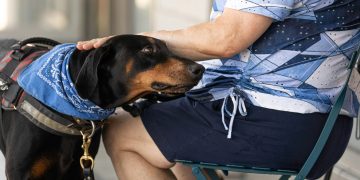 Can I Touch You? What Happens When Therapy Dogs Are Given Choice