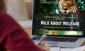 Celebrating Five Years of Animal Welfare Education Programme