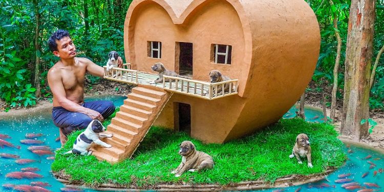 Dog rescue and build Loving Dog House – Build House for Puppies Dog rescue and build Loving Dog House – Build House for Puppies