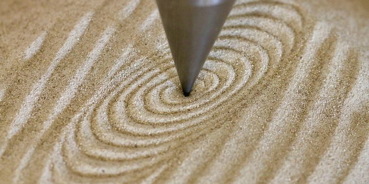 Doggy Diary: A Day in the Life of a Canine Companion!