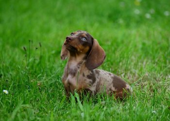 Feel free to mix and match or modify any of these suggestions!