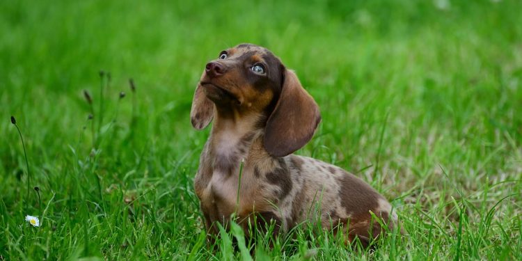 Feel free to mix and match or modify any of these suggestions!