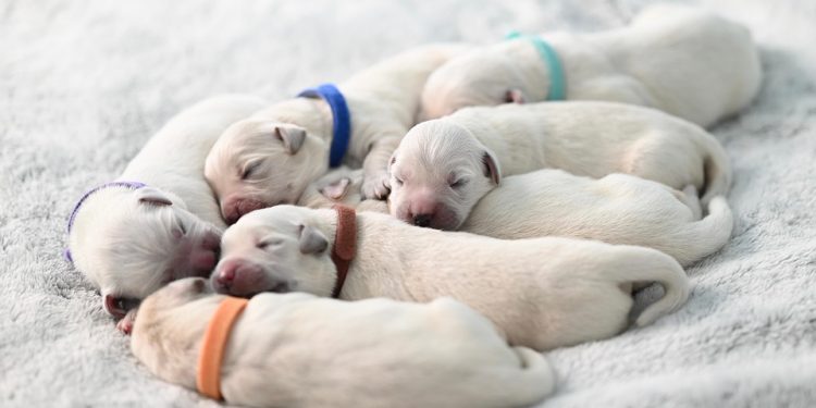 Feel free to mix and match or modify them to fit your needs! Feel free to mix and match or modify them to fit your needs!