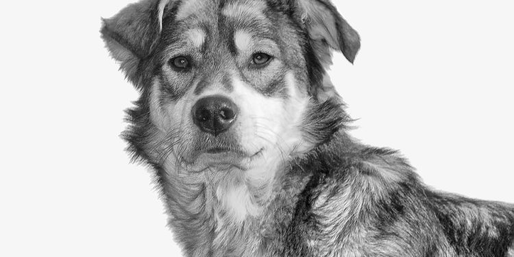 Feel free to tweak any of these to better fit your needs!