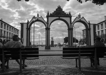 From Puppy to Pro: Simple Training Tips for New Dog Parents