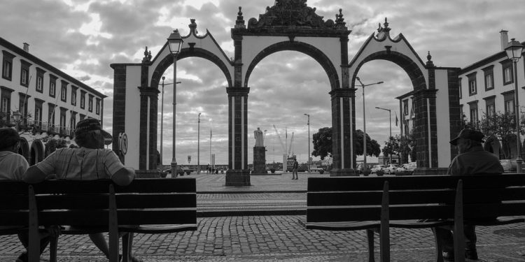 From Puppy to Pro: Simple Training Tips for New Dog Parents