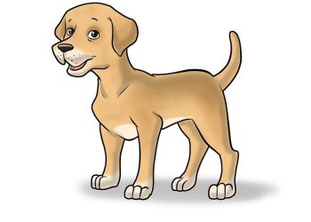 Furry Heroes: Amazing Dogs That Help People!