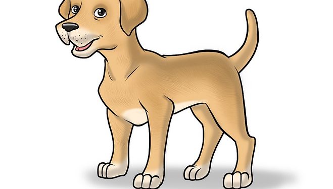 Furry Heroes: Amazing Dogs That Help People! Furry Heroes: Amazing Dogs That Help People!