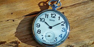 Home Sweet Home: 10 Essentials Every Dog Owner Needs