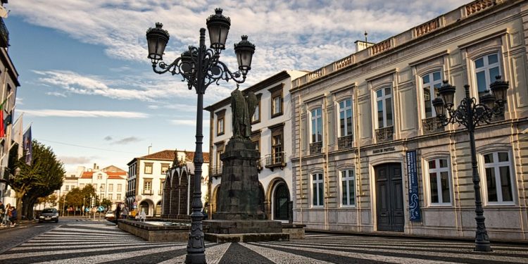 Pawsitively Perfect: Essential Tips for First-Time Dog Owners