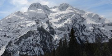 Rescue Dogs: How You Can Help a Pup in Need!