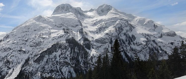 Rescue Dogs: How You Can Help a Pup in Need!