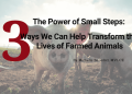 Three Ways We Can Help Transform the Lives of Farmed Animals