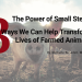Three Ways We Can Help Transform the Lives of Farmed Animals