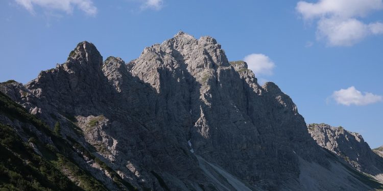 Training Tails: How to Teach Your Dog New Tricks! Training Tails: How to Teach Your Dog New Tricks!