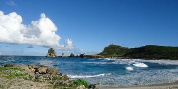 Unleash Your Pup’s Potential: Top Training Tips for Every Dog Owner Unleash Your Pup’s Potential: Top Training Tips for Every Dog Owner