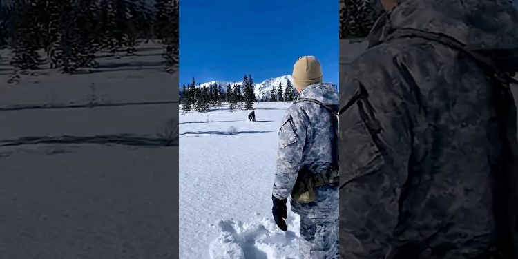 What happens when a dog sees its owner who’s just come back from military service?#dog