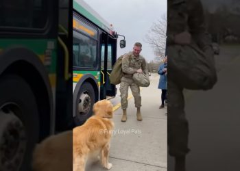 🥰 What happens when dogs haven’t seen their soldier owners in 3 years?#dog