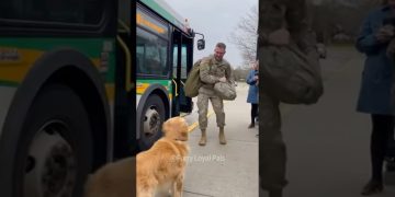 🥰 What happens when dogs haven’t seen their soldier owners in 3 years?#dog 🥰 What happens when dogs haven’t seen their soldier owners in 3 years?#dog