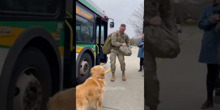 🥰 What happens when dogs haven’t seen their soldier owners in 3 years?#dog 🥰 What happens when dogs haven’t seen their soldier owners in 3 years?#dog