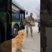 🥰 What happens when dogs haven’t seen their soldier owners in 3 years?#dog 🥰 What happens when dogs haven’t seen their soldier owners in 3 years?#dog
