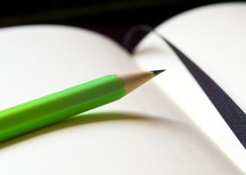 Why Dogs Wag Their Tails: Fun Facts for Kids!