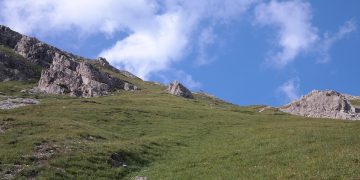 Your Ultimate Guide to Dog Training: Tips to Start Off Right!