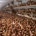 6 Reasons Vital Farms Eggs Aren’t ‘Ethical’