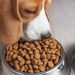 7 Surprising Things To Know About Kibble 7 Surprising Things To Know About Kibble