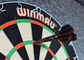 Barking Up the Right Tree: Understanding Puppy Behavior and Training